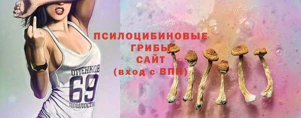 МДПВ Армянск