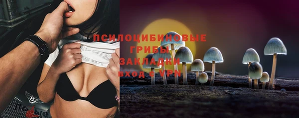 соль ск Балахна